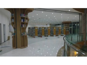 库尔勒市图书馆商务地板