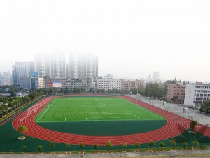 PU聚氨酯塑胶系列